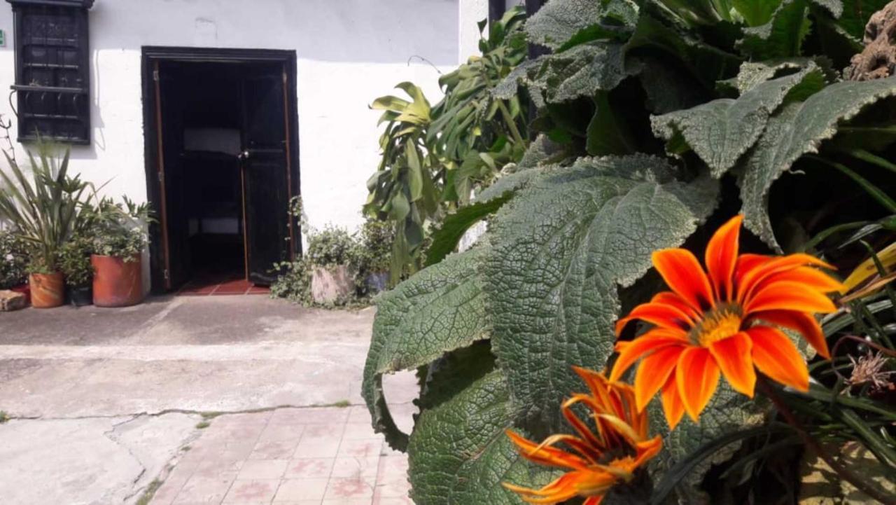 El Yarumo Hostel Bogotá Exterior foto